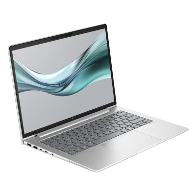 HP EliteBook 645 G11 (A37Z1ET)