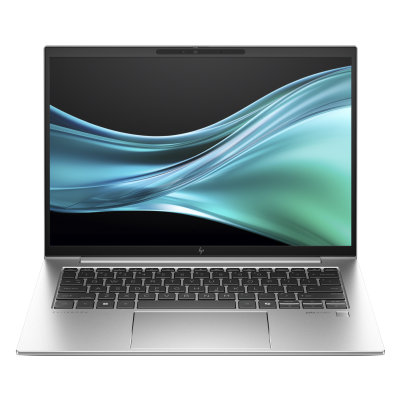 HP EliteBook 845 G11 (9G1A6ET)