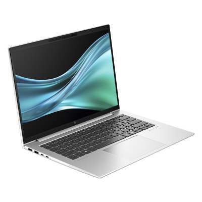 HP EliteBook 845 G11 (9G147ET)