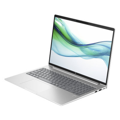 HP ProBook 460 G11 (A38JGET)